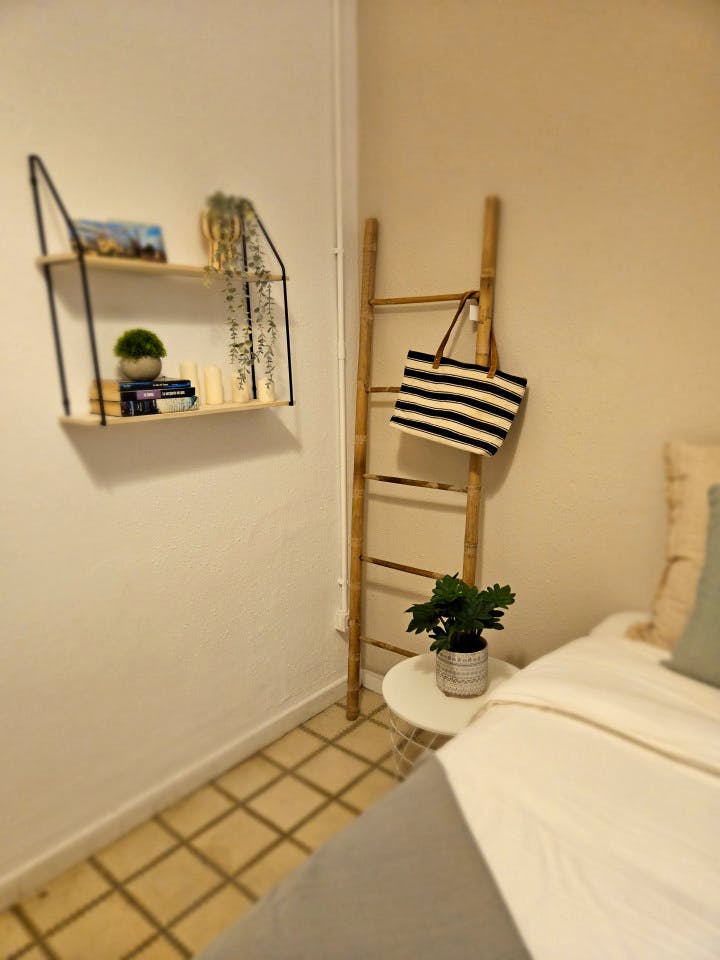  Room 5  -  Comfortable apartment near Plaça del Rei  - Gallery -  18