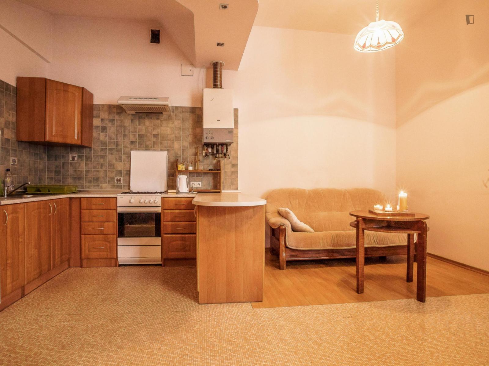  3_Bedroom Apartment Near Galeria Kazimierz  -  3_Bedroom Apartment near Galeria Kazimierz  - Gallery -  1