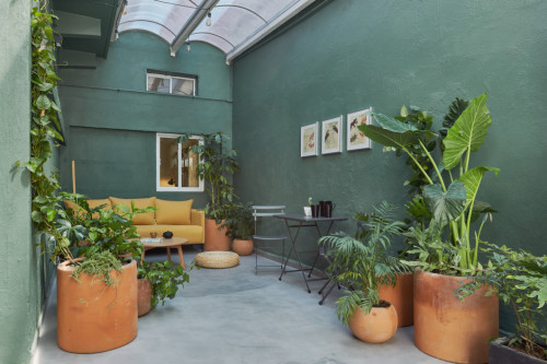 Amatlan Residence - Gallery - 41