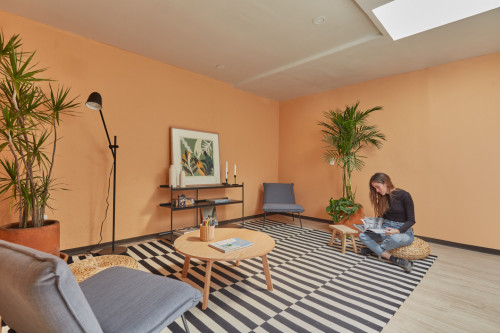 Amatlan Residence - Gallery - 42