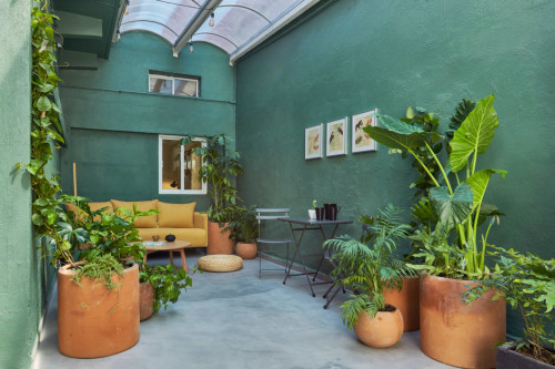 Amatlan Residence - Gallery - 29