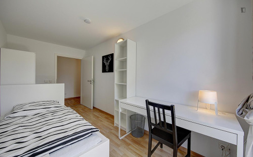 Lovely single bedroom near Wilhelma Theater