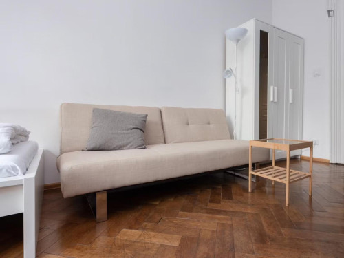 Historical 3-Bedroom Apartment in Central Cracow