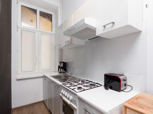 Historical 3-Bedroom Apartment in Central Cracow