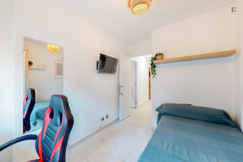 Great looking single bedroom