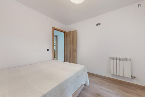 Great looking single bedroom