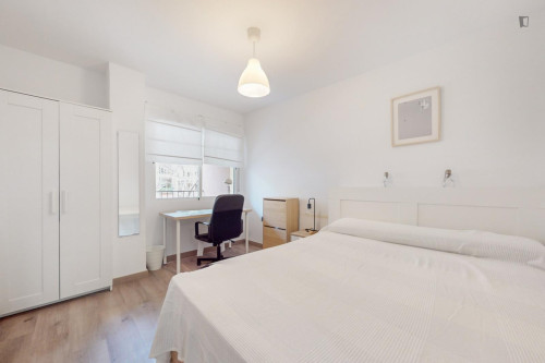 Great looking single bedroom