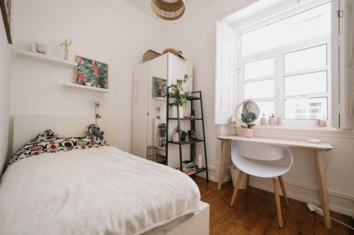 Great looking single bedroom