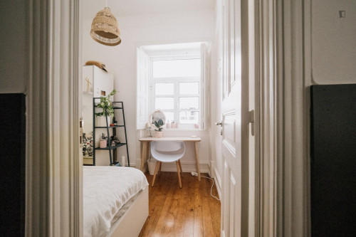 Great looking single bedroom