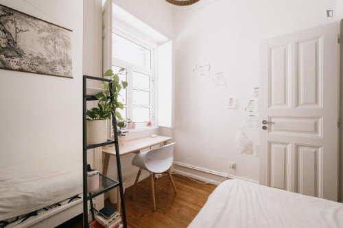 Great looking single bedroom