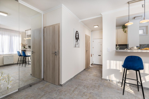 Stylish 1-bedroom apartment in District VII  - Gallery -  5