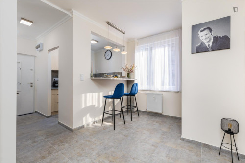 Stylish 1-bedroom apartment in District VII