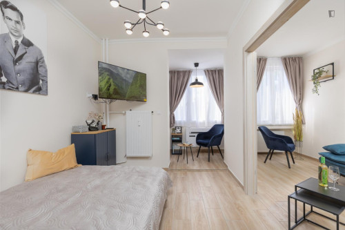 Stylish 1-bedroom apartment in District VII