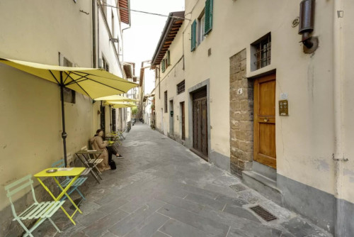 Lovely 1-bedroom apartment in Santo Spirito