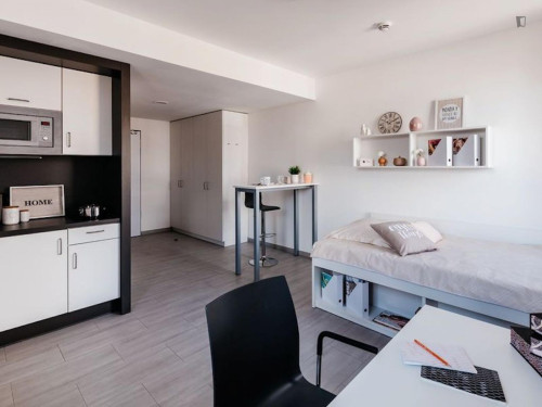 Cozy studio in Darmstadt near Technische Universität Darmstadt