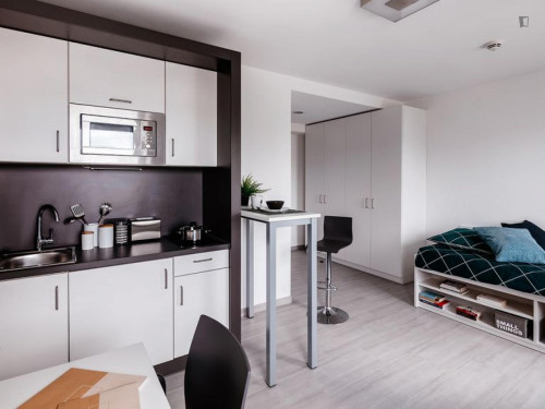 Cozy studio in Darmstadt near Technische Universität Darmstadt
