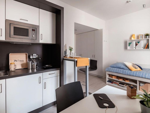 Cozy studio in Darmstadt near Technische Universität Darmstadt - Gallery - 20