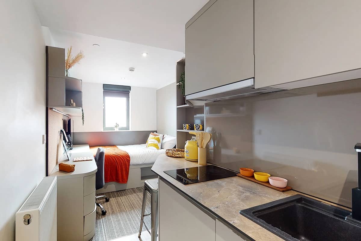  Bronze Studio (Standard Fitting, Multi-Window) - Standard View | Lower Level  -  Go Britanya - Ealing Residence  - Gallery -  4