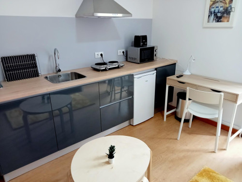 Comfortable studio near Praça da República