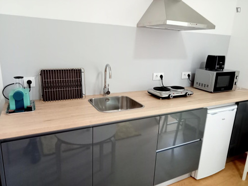 Comfortable studio near Praça da República