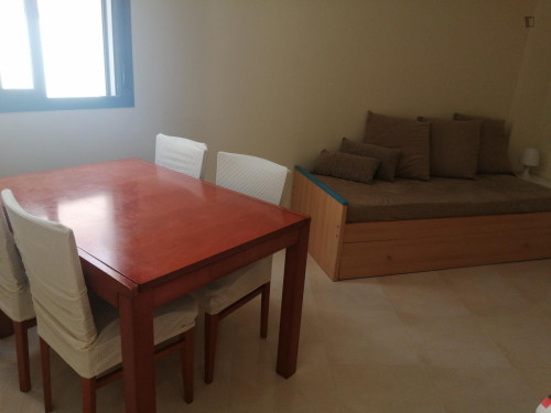 1-bedroom apartment, with outdoor area