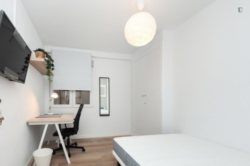 Great looking single bedroom