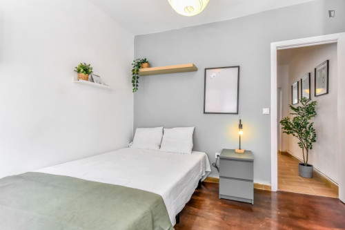 Great looking single bedroom