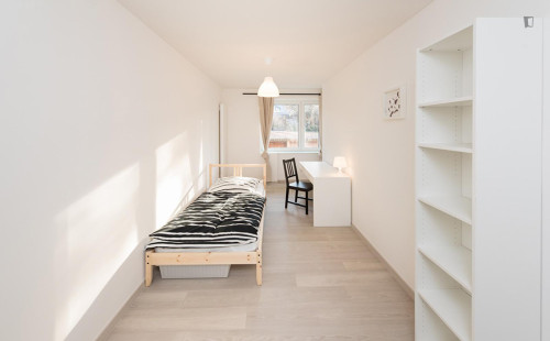 Inviting single bedroom in Untergiesing-Harlaching