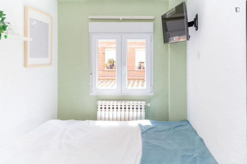 Great looking single bedroom