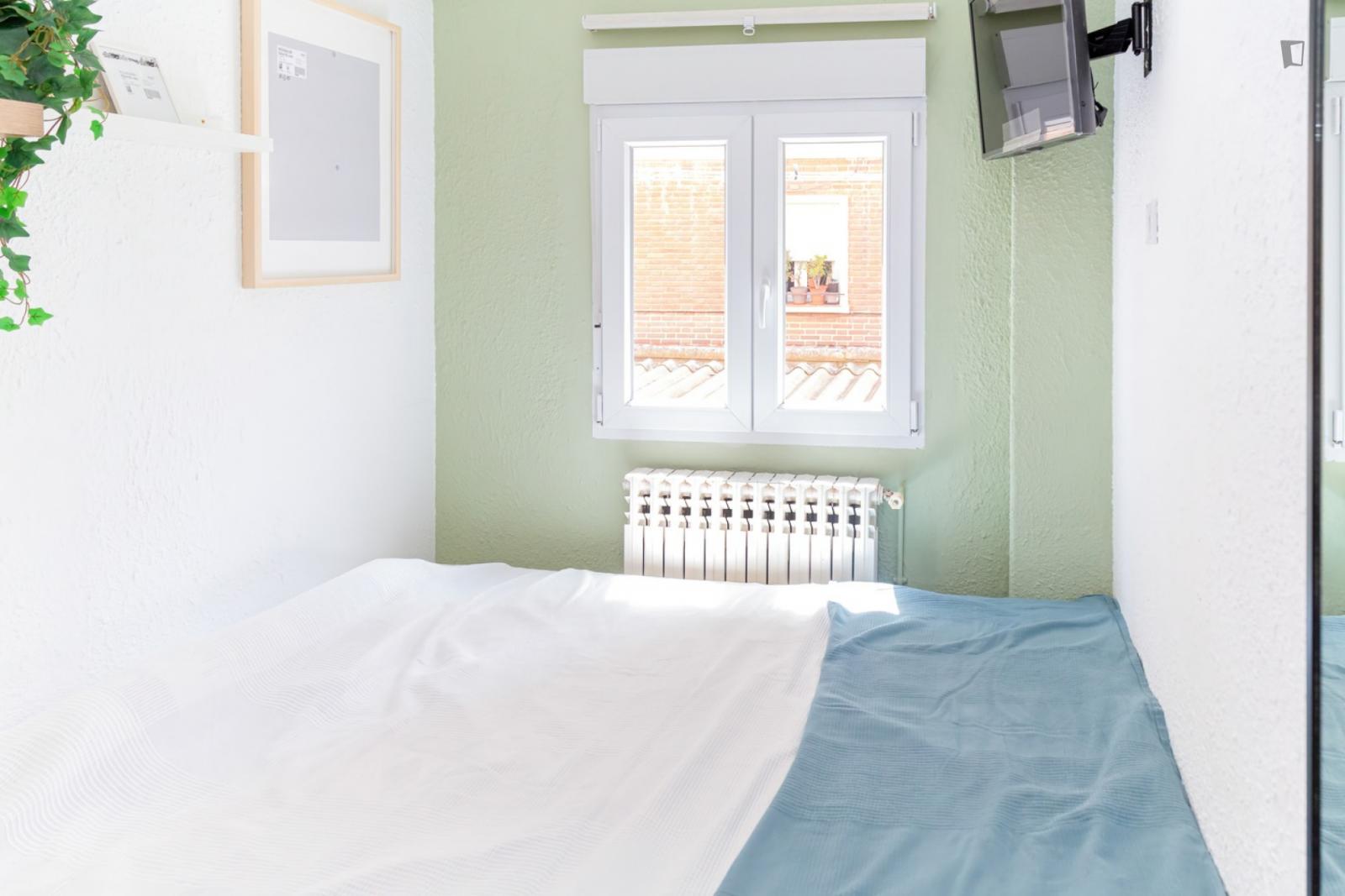 Great Looking Single Bedroom - Great looking single bedroom - Gallery - 1