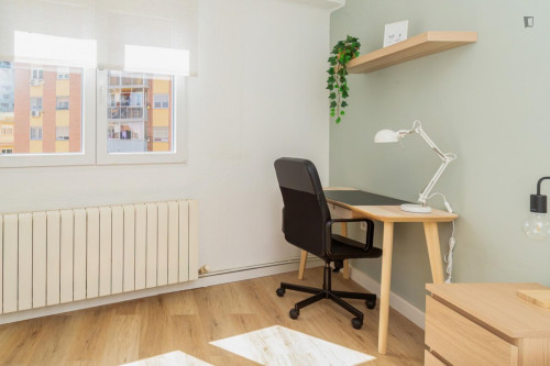 Great looking single bedroom