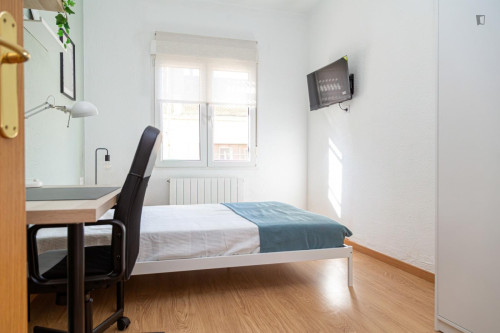 Great looking single bedroom