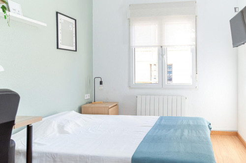 Great looking single bedroom