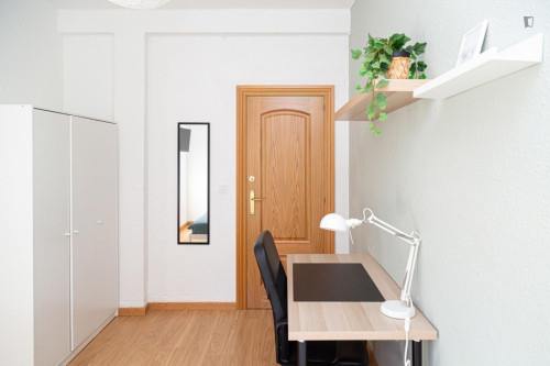 Great looking single bedroom