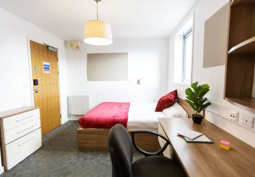 Islington II  - Gallery -  2