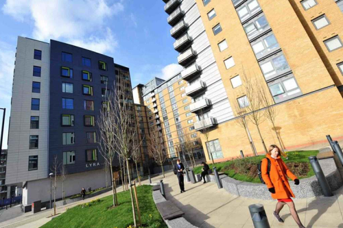 Lyra  - Gallery -  5