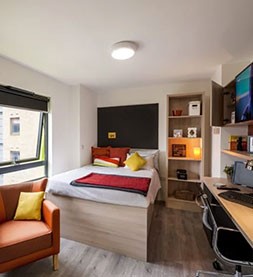  Bronze Studio  -  Lyra  - Gallery -  2