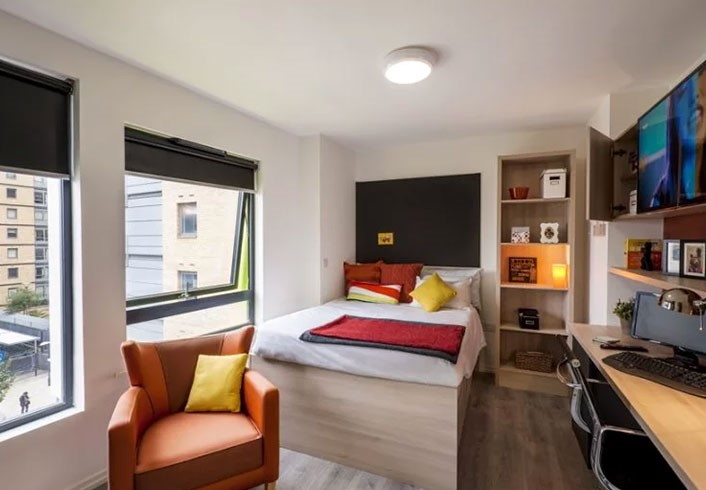  Bronze Studio  -  Lyra  - Gallery -  1