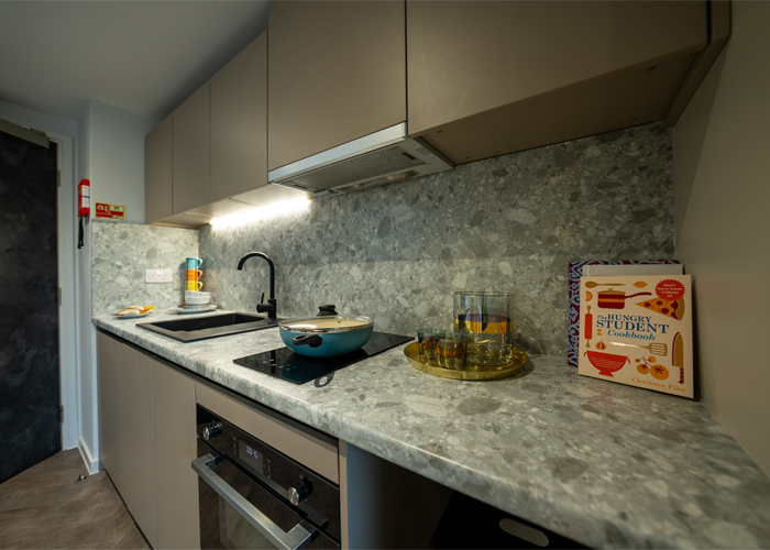  Silver Studio Lower Level  -  Westminster Residence  - Gallery -  4