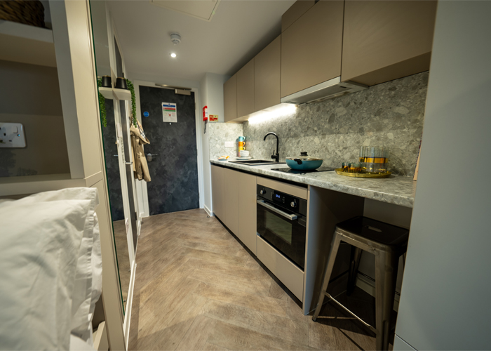  Silver Studio Lower Level  -  Westminster Residence  - Gallery -  3