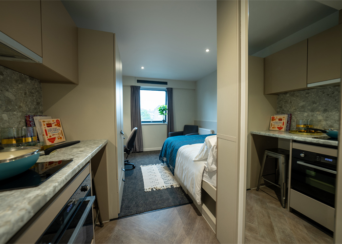  Silver Studio Lower Level  -  Westminster Residence  - Gallery -  1