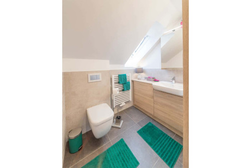 Herzo Family Attic Apartment