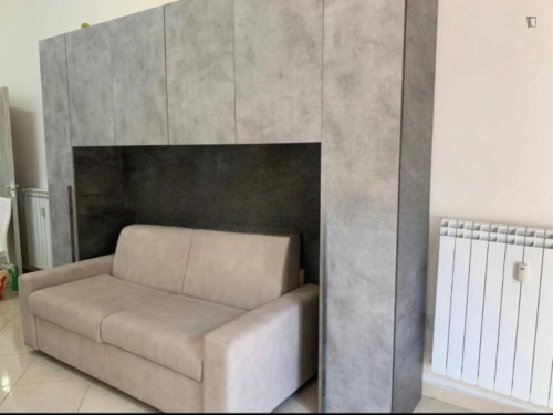 Elegant furnished studio apartment in the Borgo Vittoria area, well connected to transport