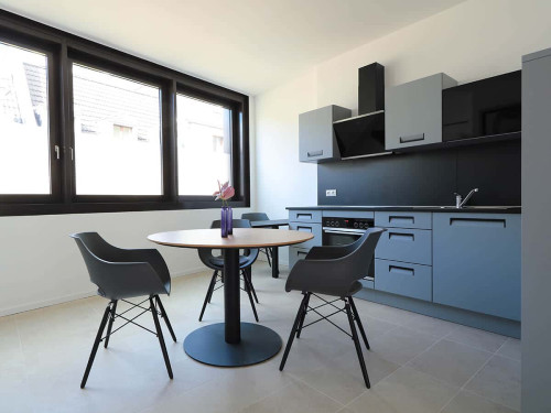 iSIX- Cosy Apartment in the center of Bonn  - Gallery -  5