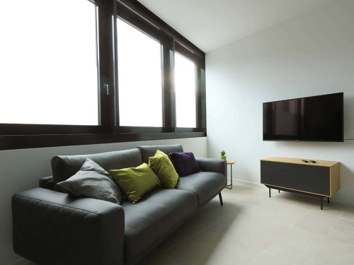iFOUR- Cosy Apartment in the center of Bonn