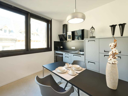 iTWO- Cosy Apartment in the center of Bonn  - Gallery -  5