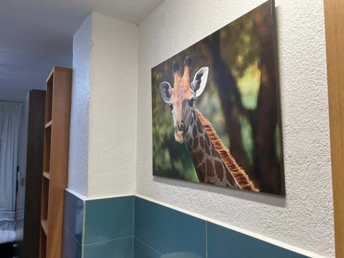 APARTAMENTO AMUEBLADO Y EQUIPADO  - Gallery -  5