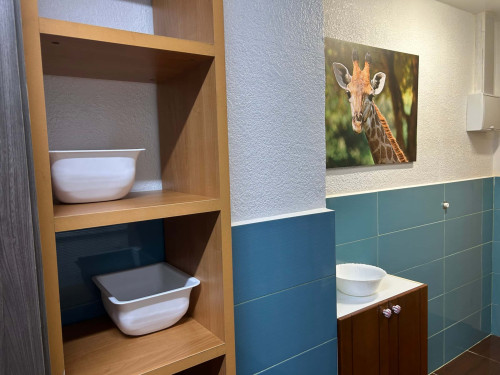 APARTAMENTO AMUEBLADO Y EQUIPADO - Gallery - 34