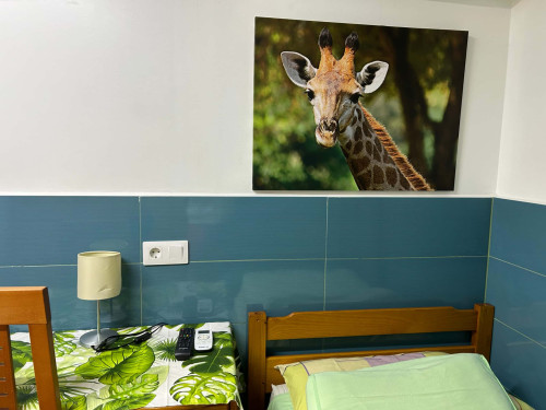 APARTAMENTO EQUIPADO Y AMUEBLADO - Gallery - 10