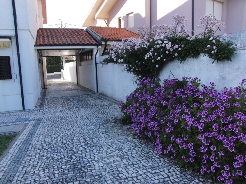 Lovely room in a 5 bedroom apartment in Vila Nova de Gaia